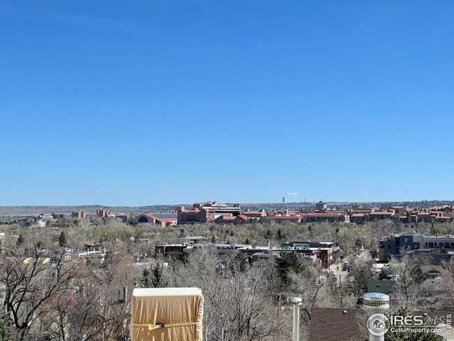 CU - south facing side yard
