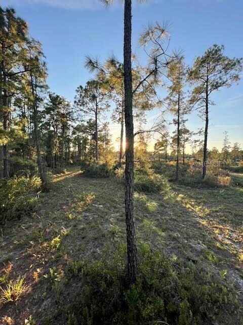 0 Seagrape Ave unit MFRA4672088, Eustis, FL 32736 - photo 3