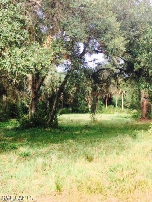 18821 Palm Beach Blvd, Alva, FL 33920 - photo 7