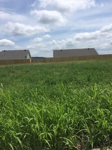 Lot 432 General McCrae, Prairie Grove, AR 72753 - photo 4