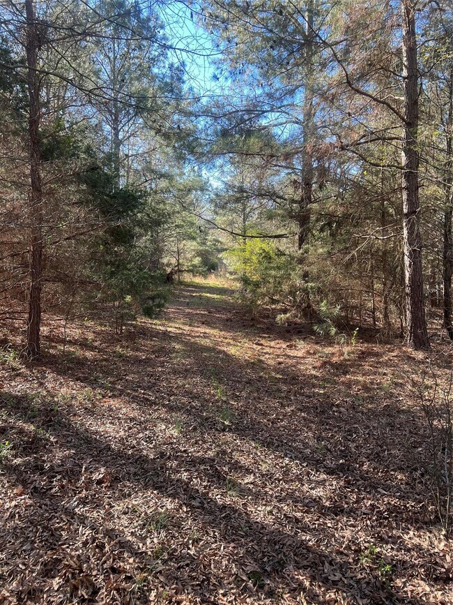 #2 Stack Rd, Monroe, NC 28112 - photo 6