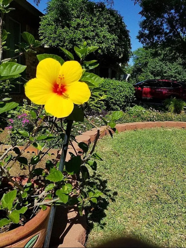 1719 Princeton Dr, Arlington, TX 76015 - photo 5