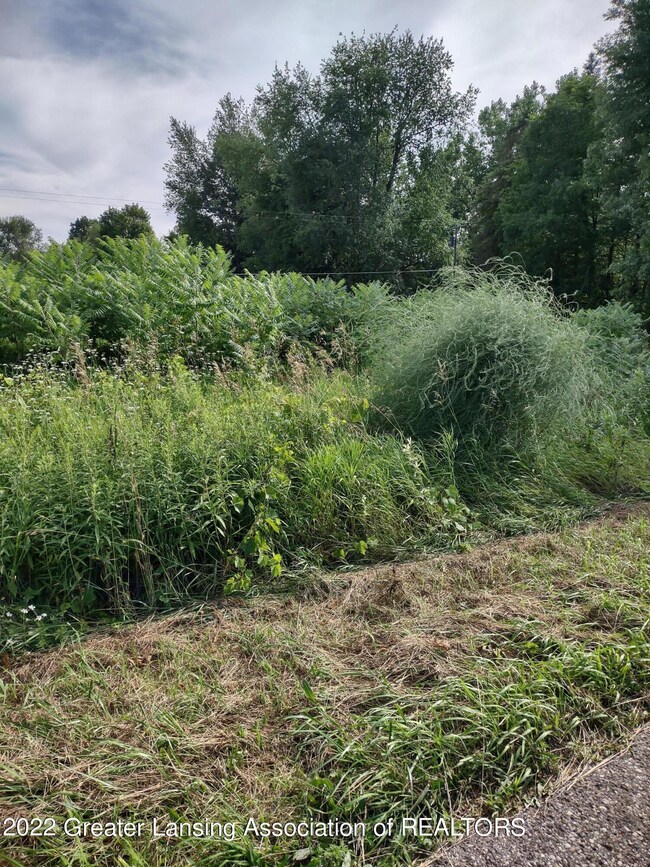 IMG_20220725_174643648_HDR