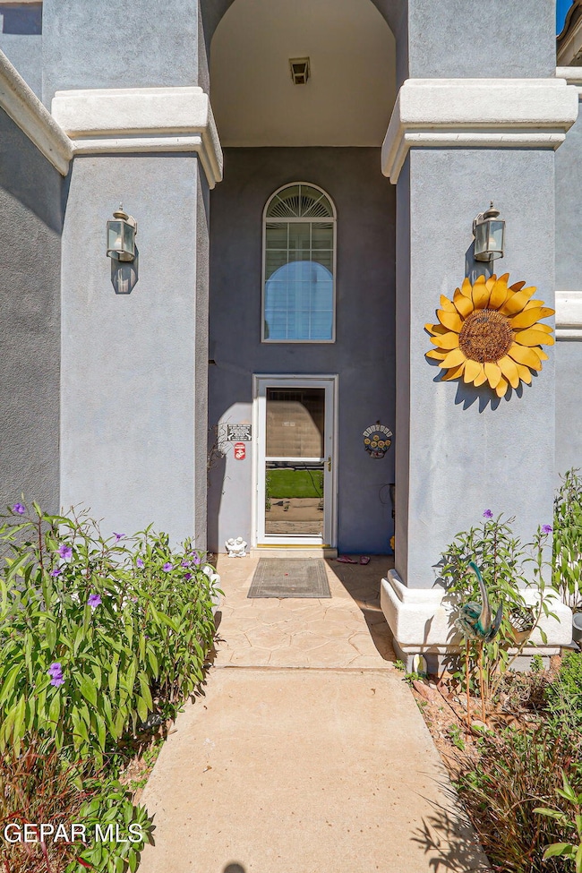 49-web-or-mls-IMG_9824