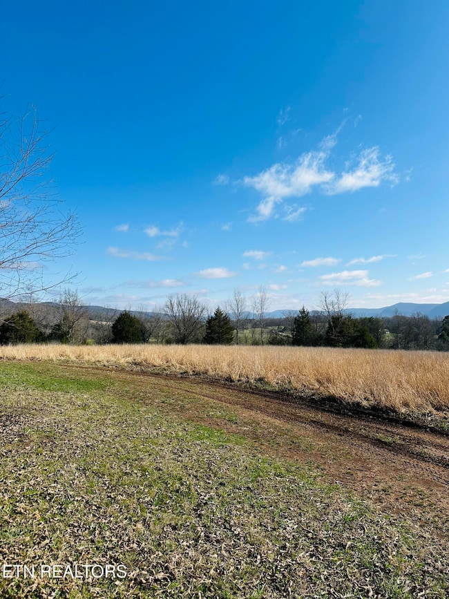 0 US 127, Pikeville, TN 37367 - photo 3