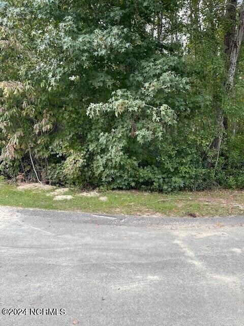 5 Raintree Ct, Pinehurst, NC 28374 - photo 4