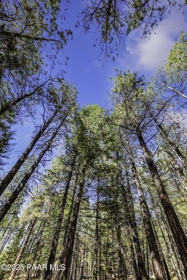 00 S Comstock Mine Rd, Prescott, AZ 86303 - photo 7
