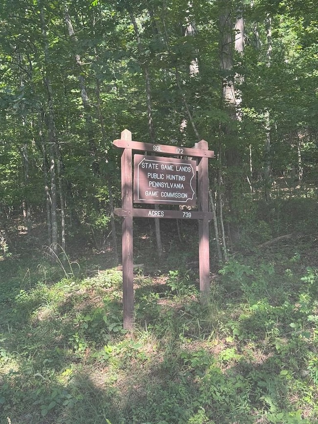 1233 Mills Rd, Wyalusing, PA 18853 - photo 3