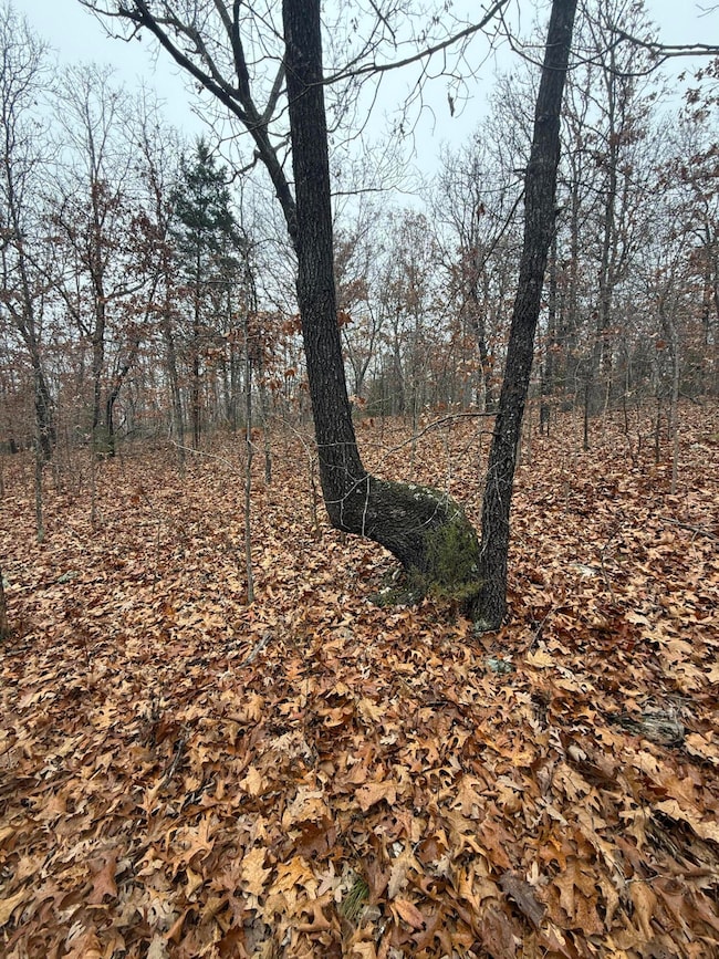 000 Pecan Dr, Grovespring, MO 65662 - photo 3