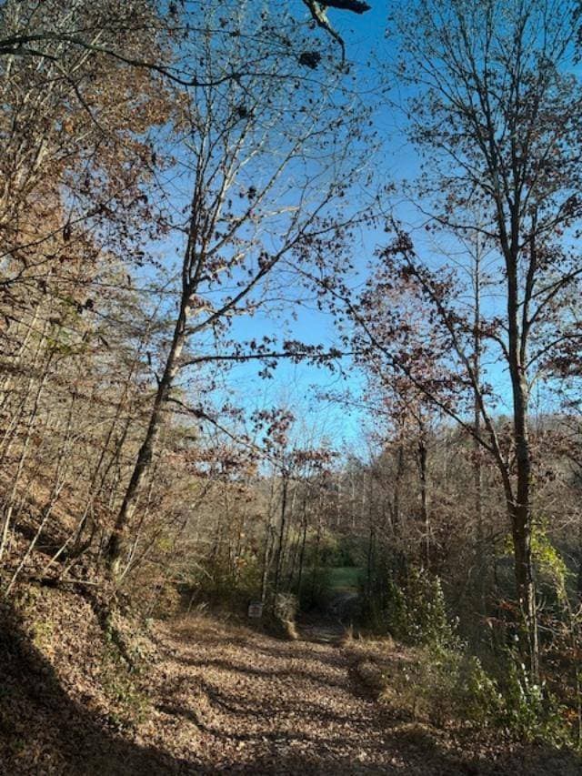 500 Beechmont Rd, Sandy Hook, KY 41171 - photo 7