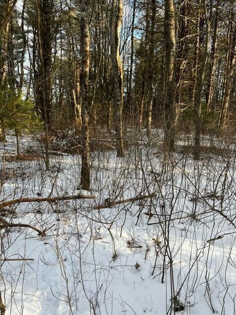 Lots 1 & 2 Eden Farm Rd, Pownal, ME 04069 - photo 2