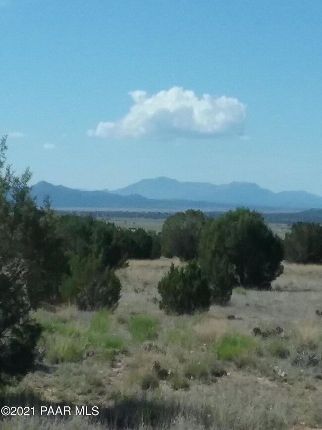 Land Photo 2