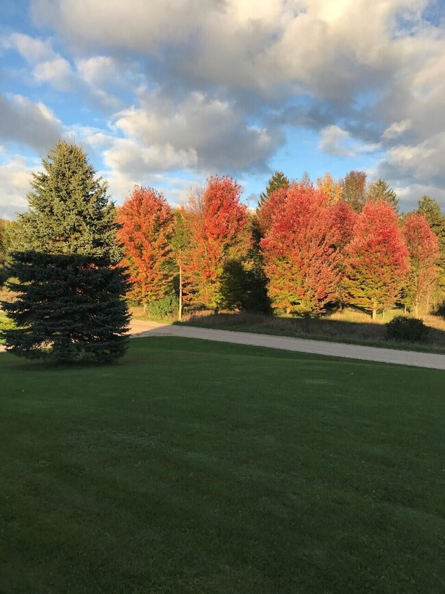 Fall colors