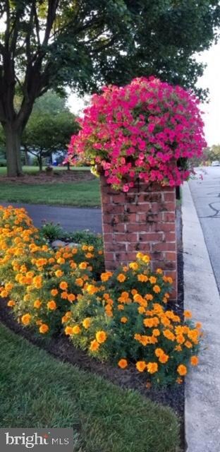 342 Cassidy Way, Shrewsbury, PA 17361 - photo 6