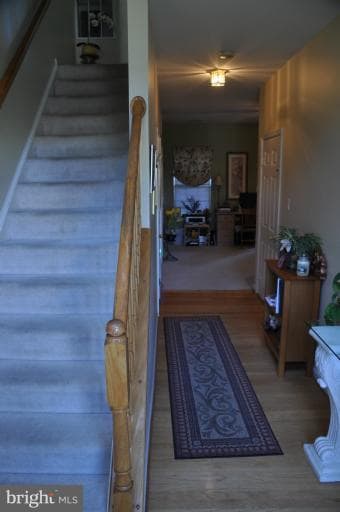 46786 Vermont Maple Terrace, Sterling, VA 20164 - photo 4