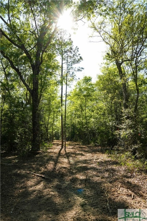 0 Floyd Rd unit Lot 9 328851, Pembroke, GA 31321 - photo 5