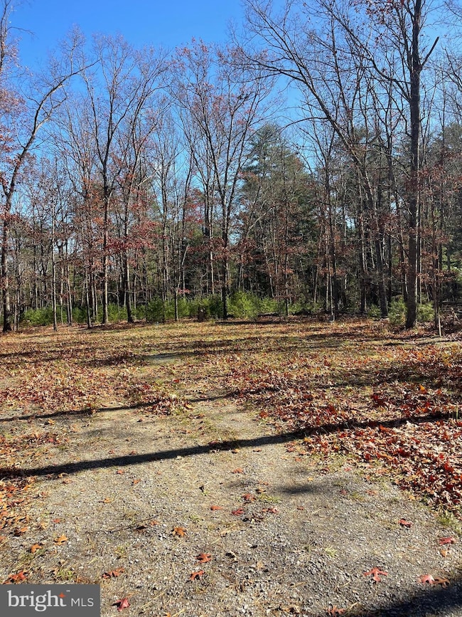 0 Hannah Ct unit WVHS2007062, Yellow Spring, WV 26865 - photo 5