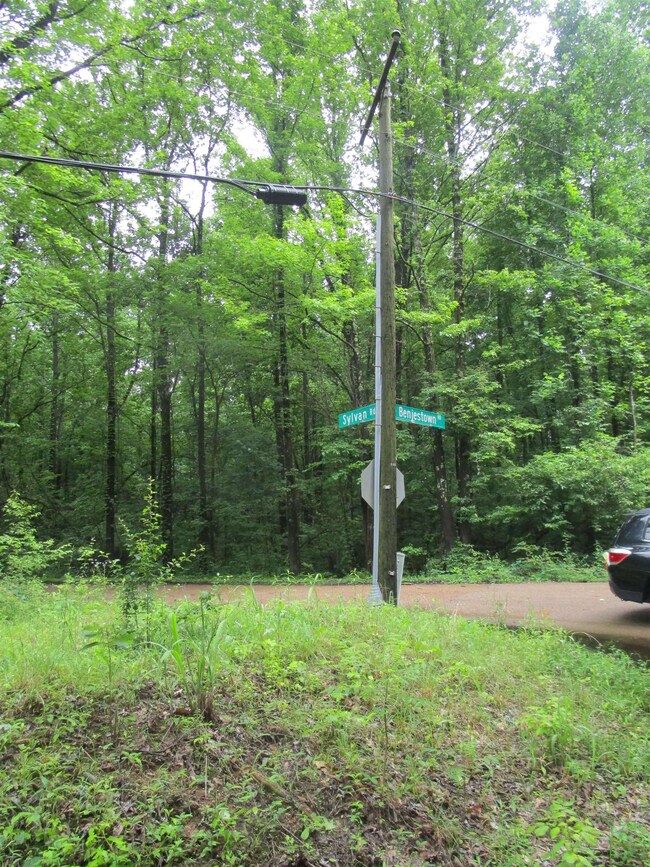View of yard featuring a wooded view