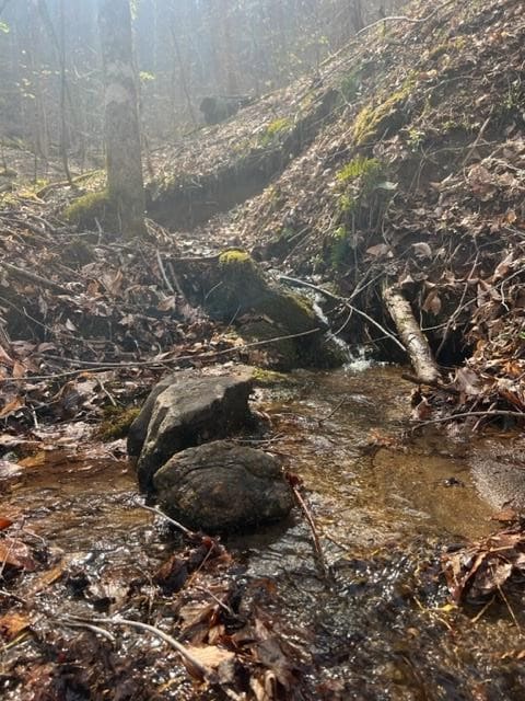 00 River Road Trace, Franklin, NC 28734 - photo 6