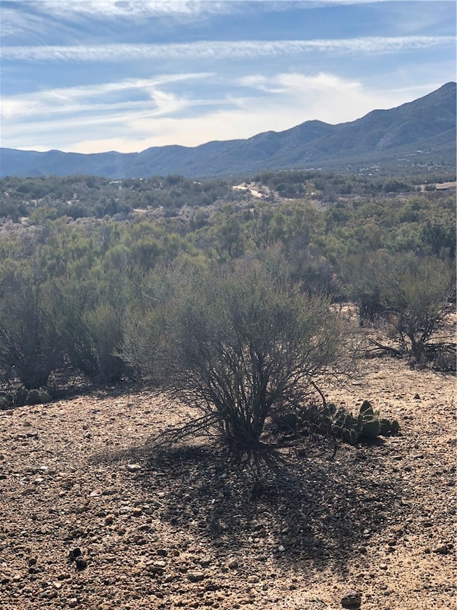 Gentle rolling acreage.