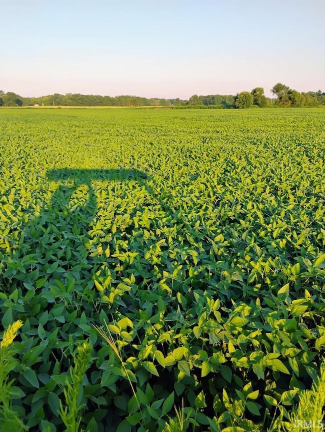 TBD E 550 N, Oregon Township, IN 46531 - photo 3