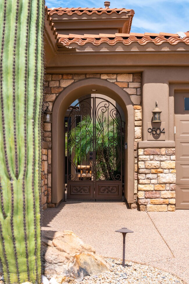 Mature Desert Landscaping