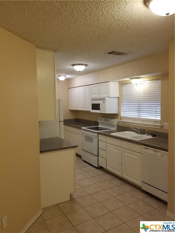 203 S Mitchell St unit 5, San Marcos, TX 78666 - photo 4