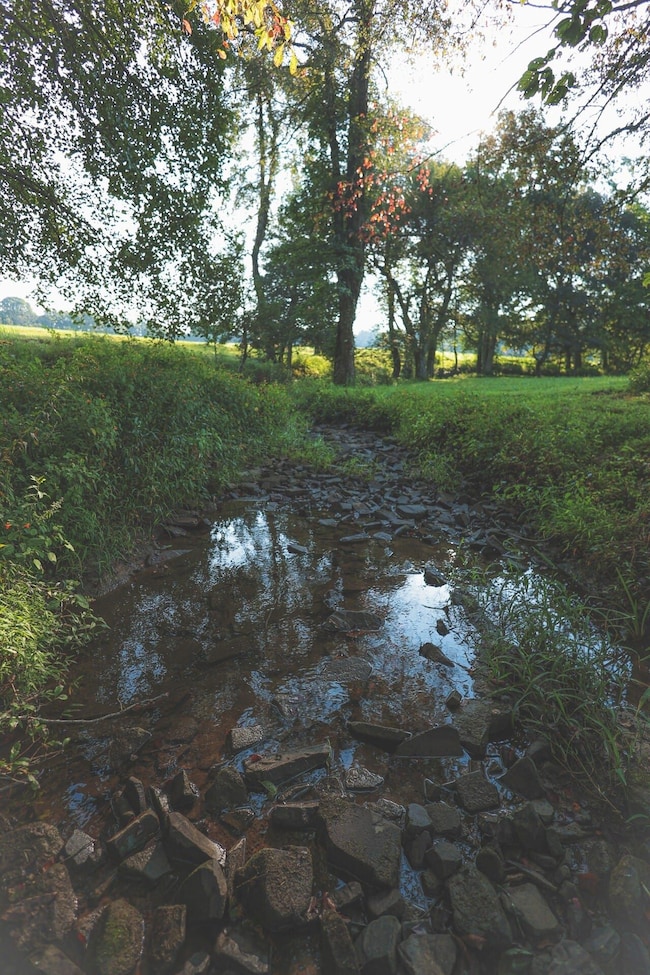 1784 Odgen Rd, Dayton, TN 37321 - photo 7