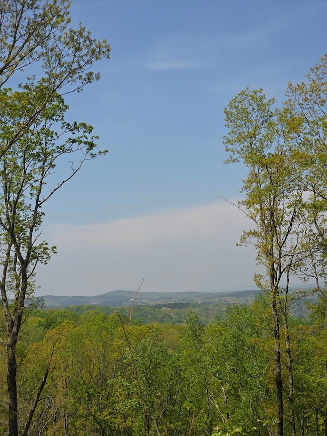 Lot 105 Twisted Oak Rd, Talking Rock, GA 30175 - photo 2