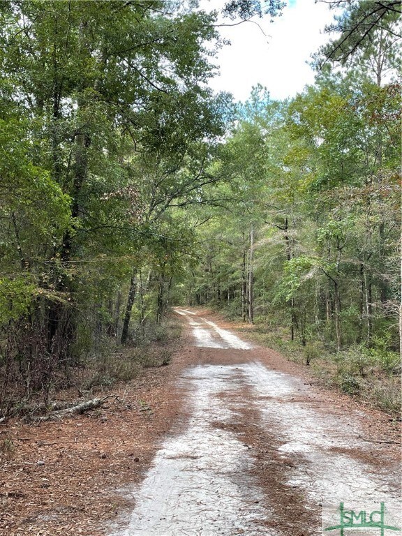 0 Old Augusta Rd unit 319739, Clyo, GA 31303 - photo 6