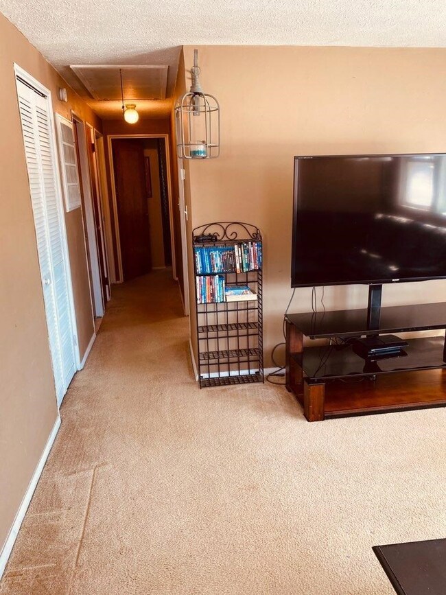 641 W Front St, New Carlisle, IN 46552 - photo 6