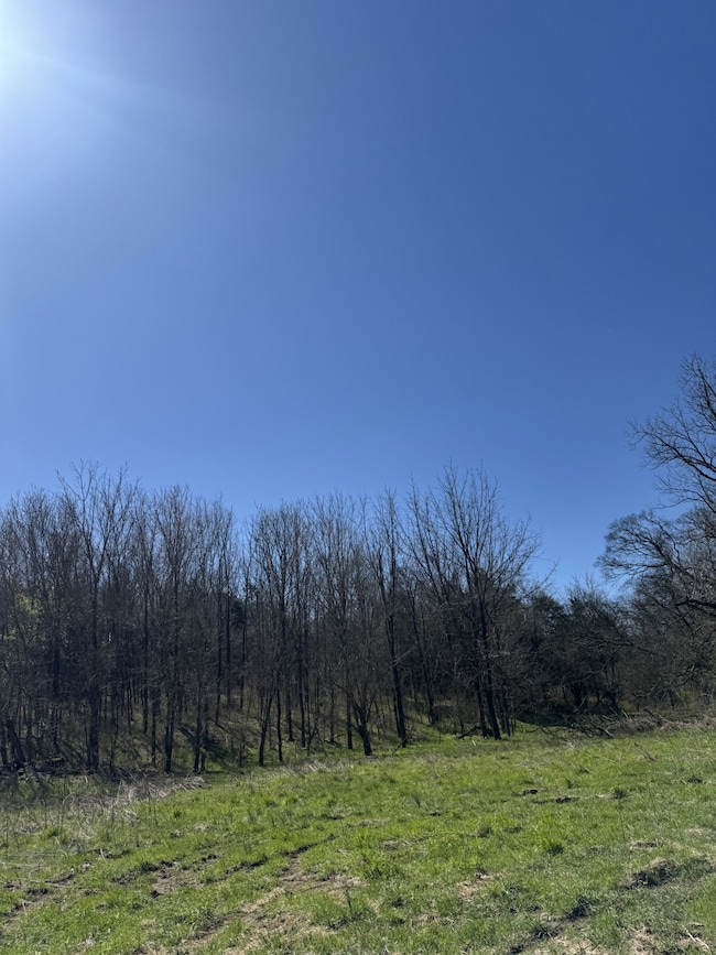 0 Crews Hollow Rd unit RTC2808625, Manchester, TN 37355 - photo 6