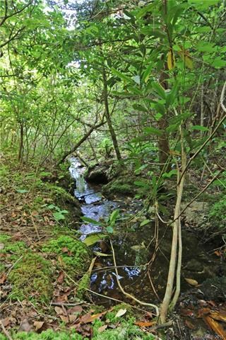 Streams along hiking trails
