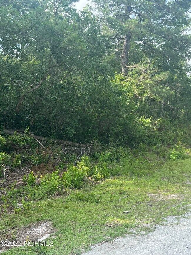 421 W South Shore, Boiling Spring Lakes, NC 28461 - photo 2