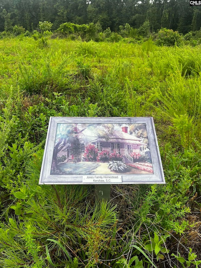 703 Neds Creek Rd, Kershaw, SC 29067 - photo 3