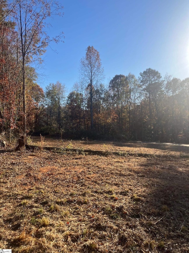 38 Coster Rd, Travelers Rest, SC 29690 - photo 3