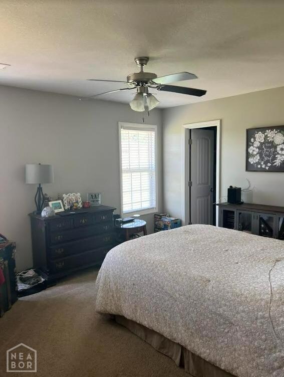 122 County Road 335, Jonesboro, AR 72401 - photo 7