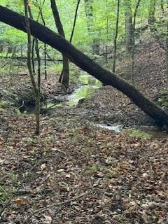 668 Gold Cove Dr, Dahlonega, GA 30533 - photo 4