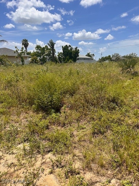 212 NW 5th Terrace, Cape Coral, FL 33993 - photo 4