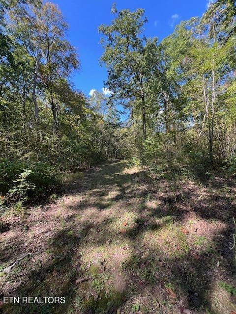 0 Hwy 70 N unit 1317516, Monterey, TN 38574 - photo 5