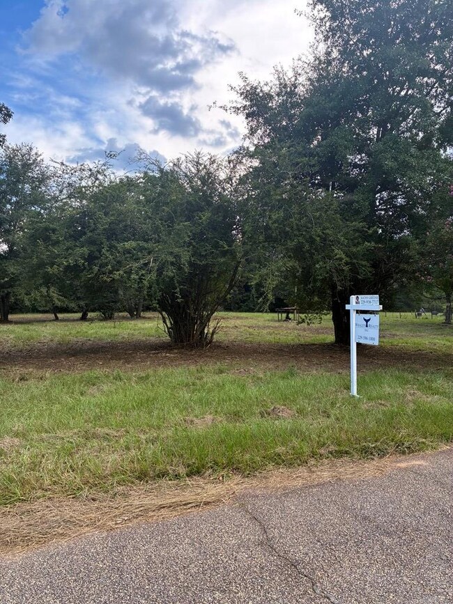 569 Henry Hart Rd, Leslie, GA 31764 - photo 5