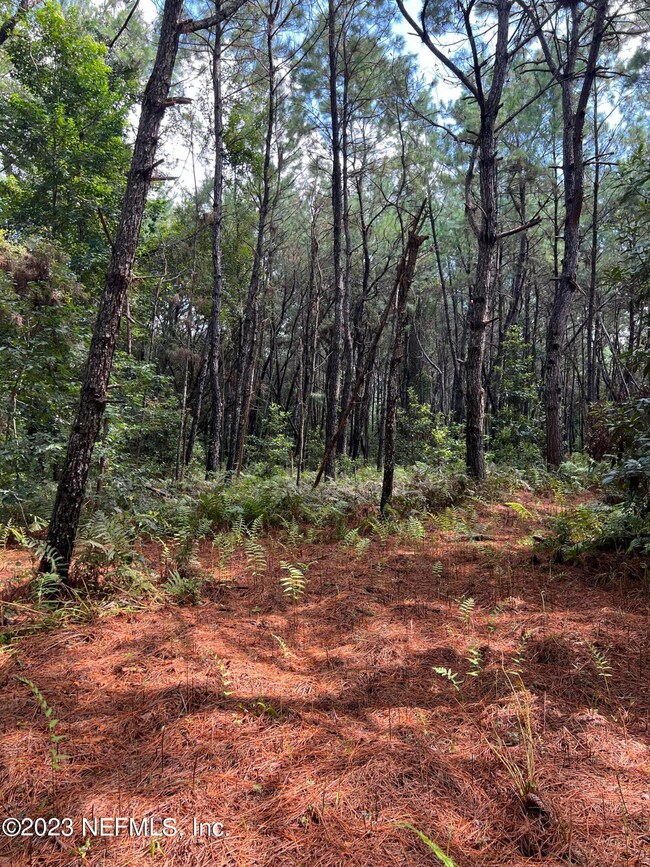 CA941656-7001-4A03-BF2D-22C2160A4525