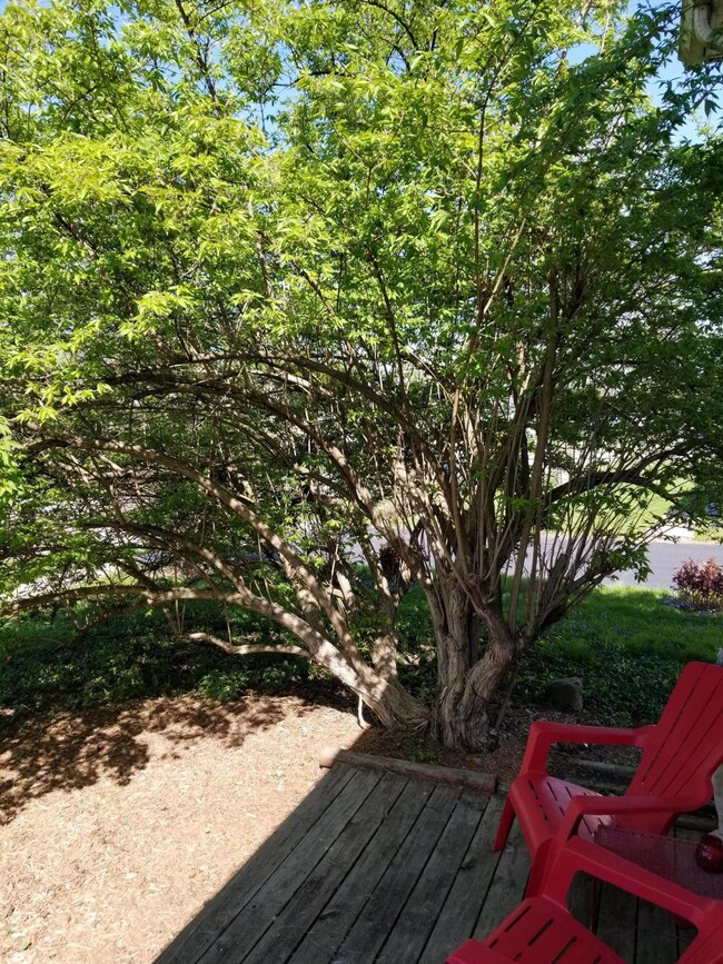 PIC3
