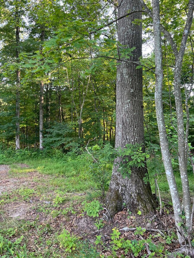 0 Tabernacle Rd, Massieville, OH 45601 - photo 5