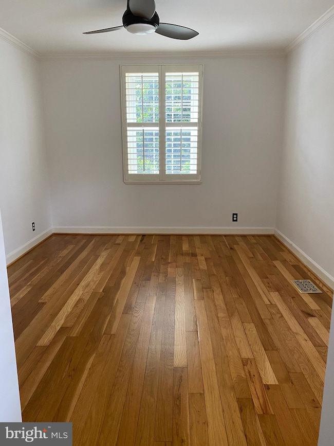 3014 S Abingdon St unit A1, Arlington, VA 22206 - photo 2