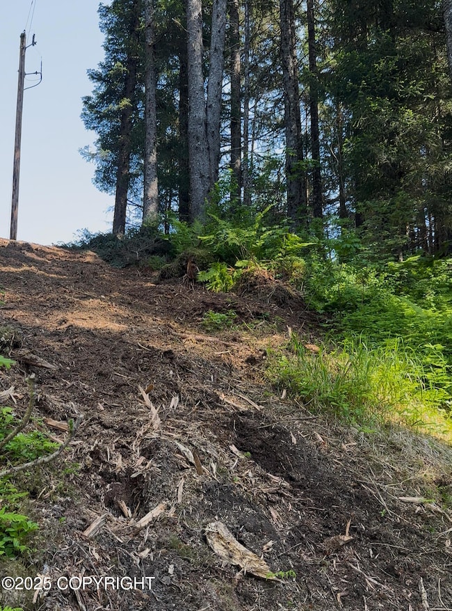L15 B11 Malcolm St, Seldovia, AK 99663 - photo 4