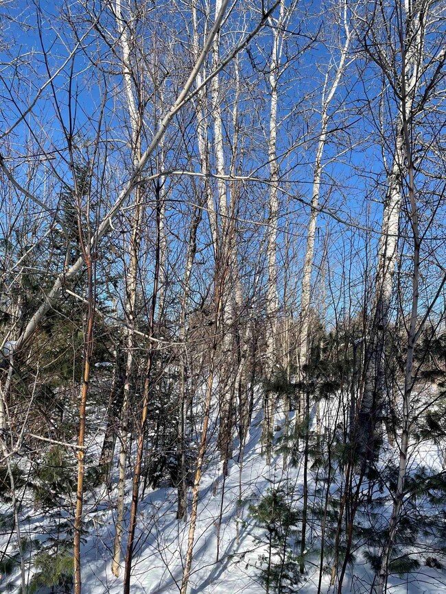 11 Hydro Rd unit 11, Bethlehem, NH 03574 - photo 3