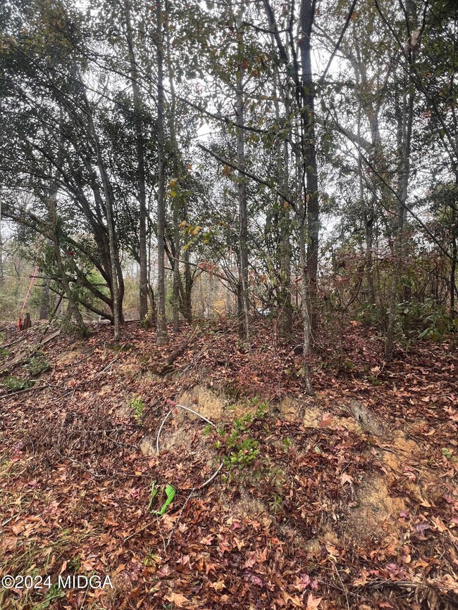 000 Evergreen Cir, Ivey, GA 31031 - photo 4