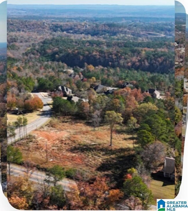 4915 S Shades Crest Rd unit A, Bessemer, AL 35022 - photo 4