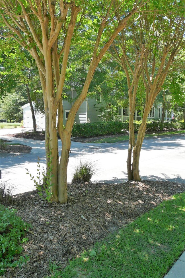 SIDEWALK WITH LANDSCAPE